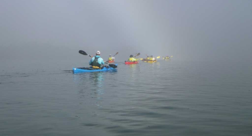 Colorful kayaks are paddled by students on calm water through the fog